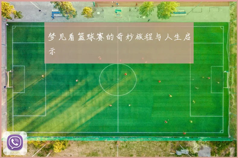 梦见看篮球赛的奇妙旅程与人生启示