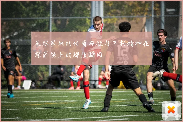 足球塞纳的传奇旅程与不朽精神在绿茵场上的辉煌瞬间